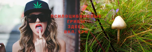 спайс Белокуриха